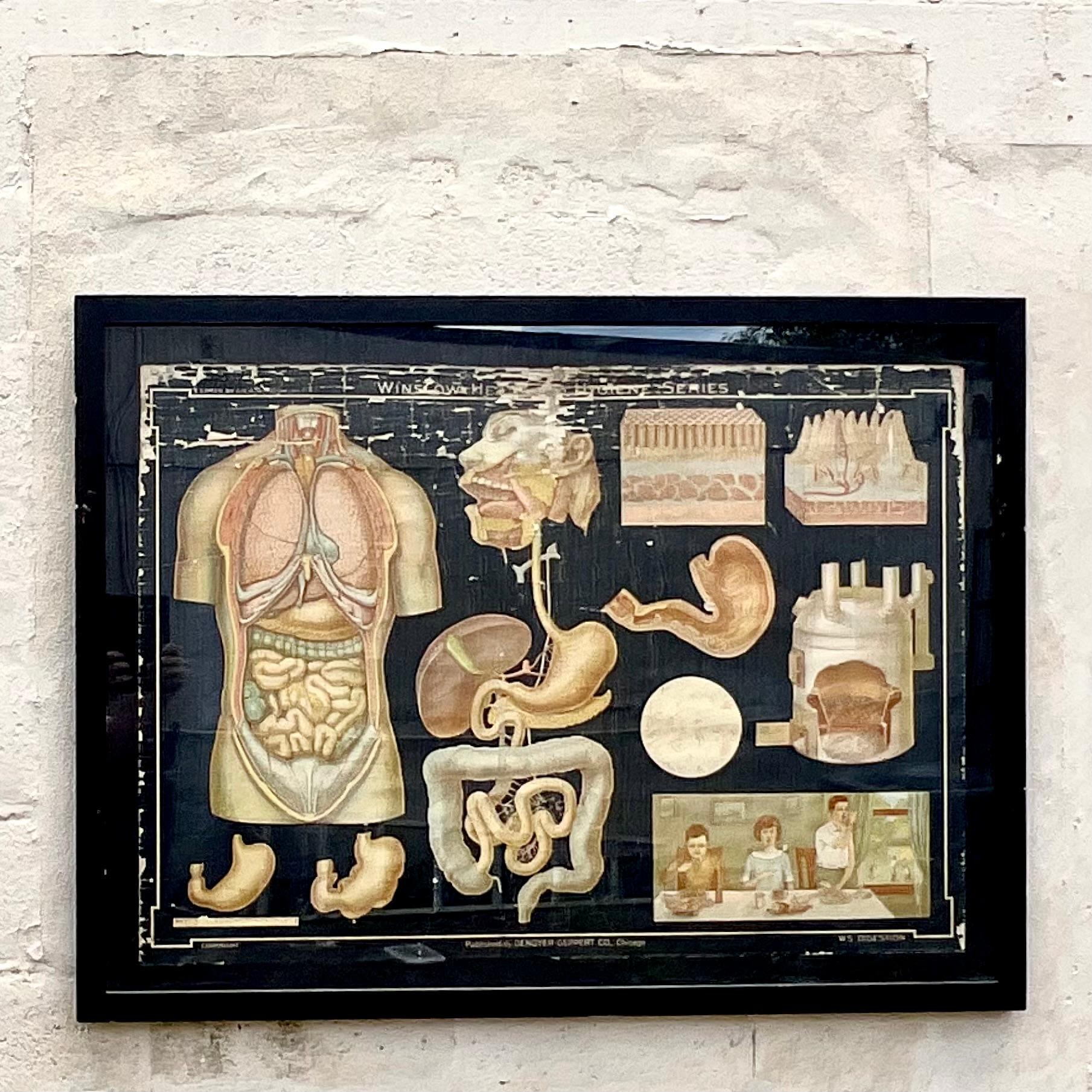 Vintage Boho Denoyer – Geppert Anatomie-Druck im Zustand „Gut“ im Angebot in west palm beach, FL