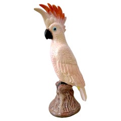 Collectibles and Curiosities