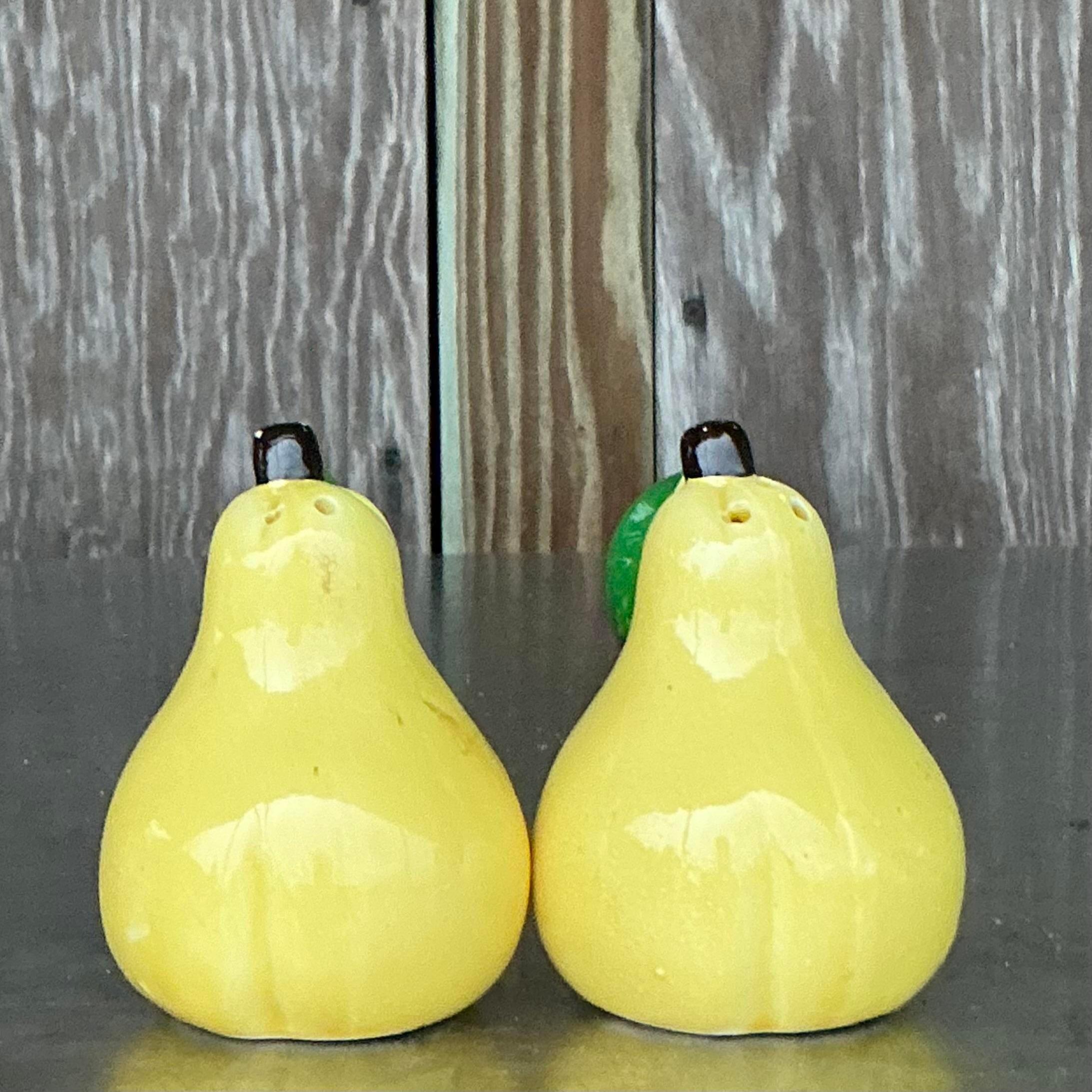 Améliorez votre décor de table avec cet ensemble de salière et de shakers à poivre en céramique Vintage Boho Glazed Pear. Magnifiquement fabriqués et émaillés à la main, ces shakers ajoutent une touche d'élégance rustique et de charme ludique à