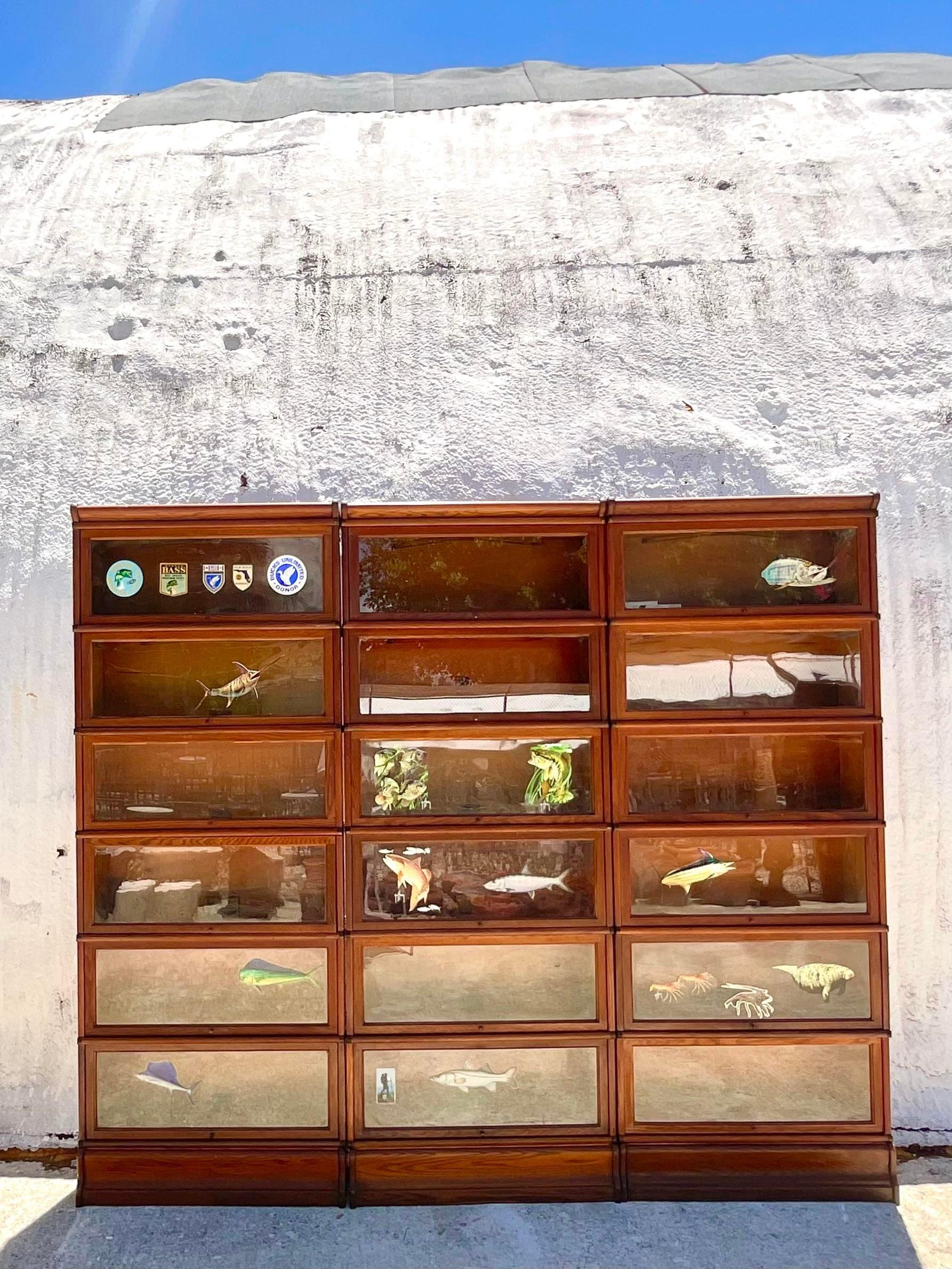 Librerie vintage Boho Globe Wernickie Barrister - Set di 3 in vendita 3