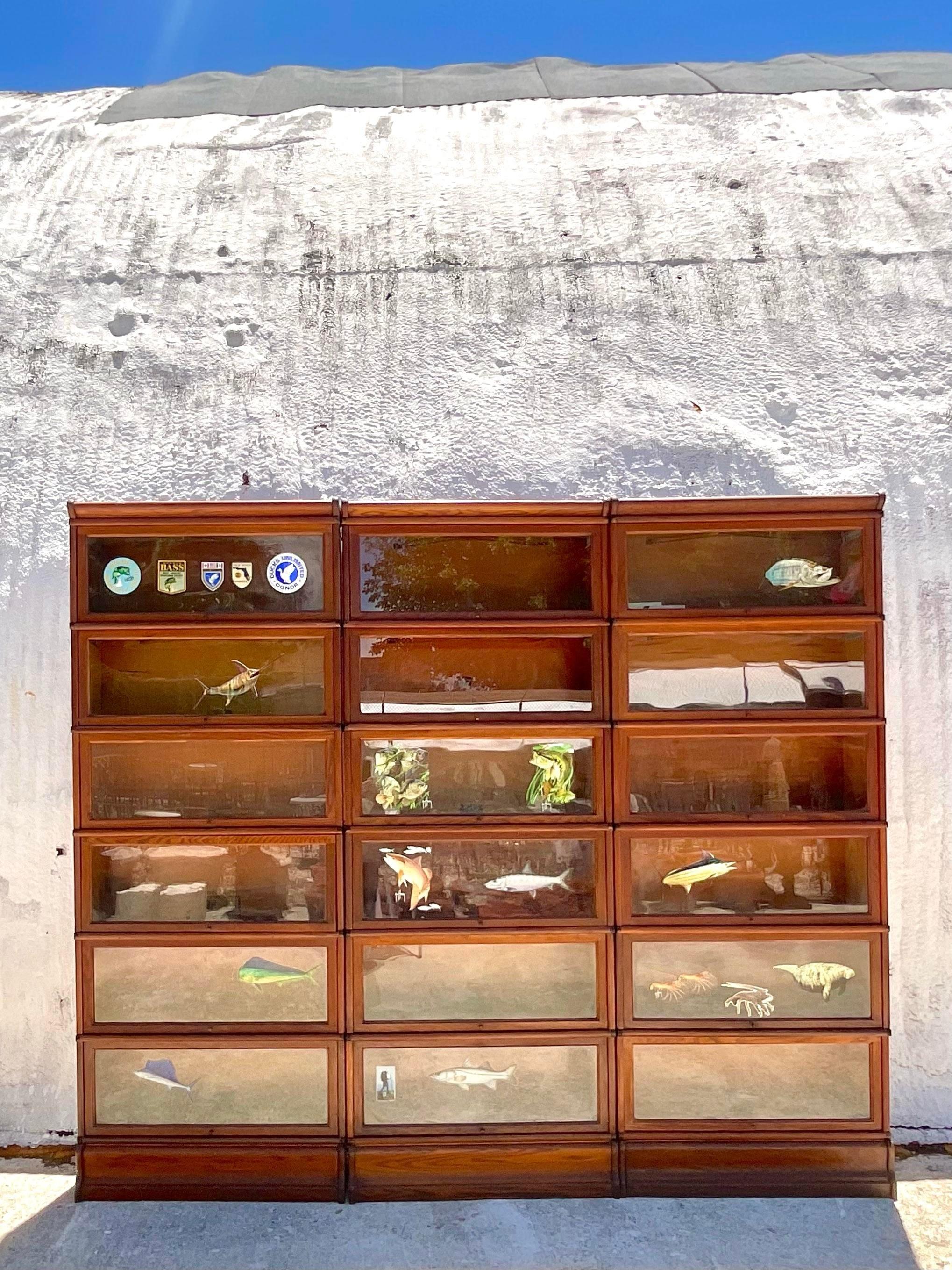 Librerie vintage Boho Globe Wernickie Barrister - Set di 3 in vendita 1