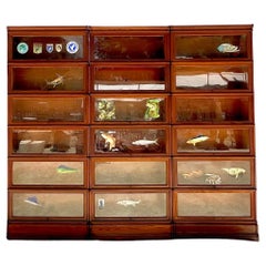 Set von 3 Boho Globe Wernickie Barrister-Bücherregalen im Vintage-Stil