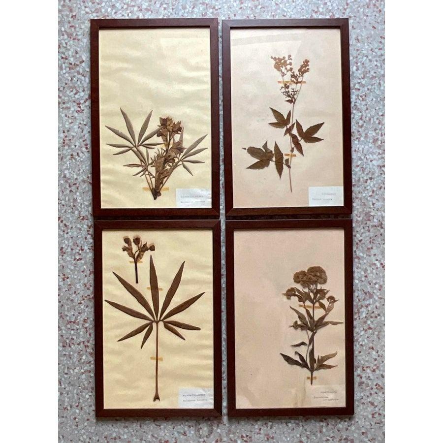Vintage Boho Herbarium botanische Exemplare im Vintage-Stil - 12er-Set (Textil) im Angebot