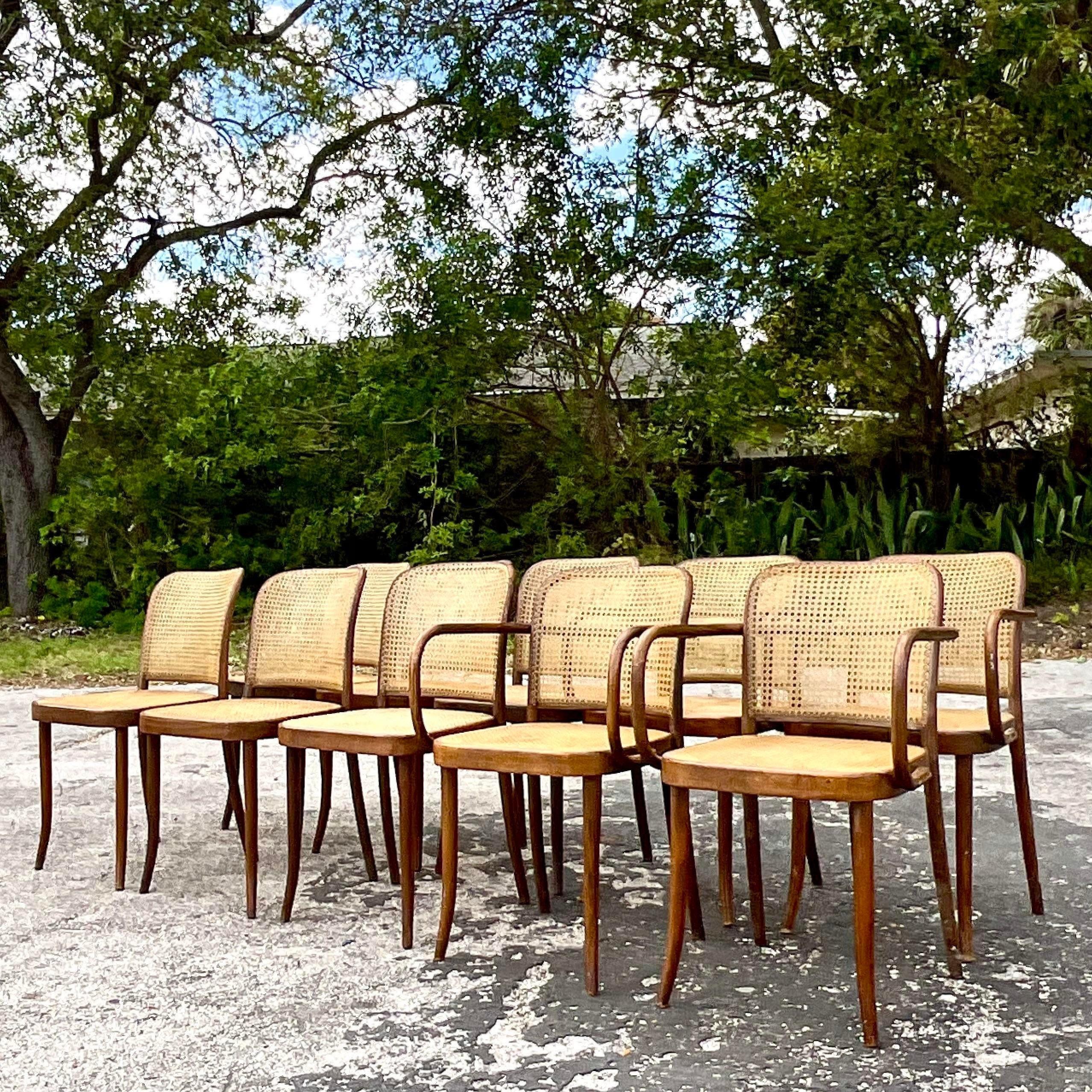 A fantastic set of 10 vintage Boho dining chairs. Designed by the iconic Josef Hoffmann for Stendig and tagged on the bottom. Chic inset cane panels. Four arms and six side chairs. Acquired from a Palm Beach estate.

Side chair 17.5x15.5x31.5