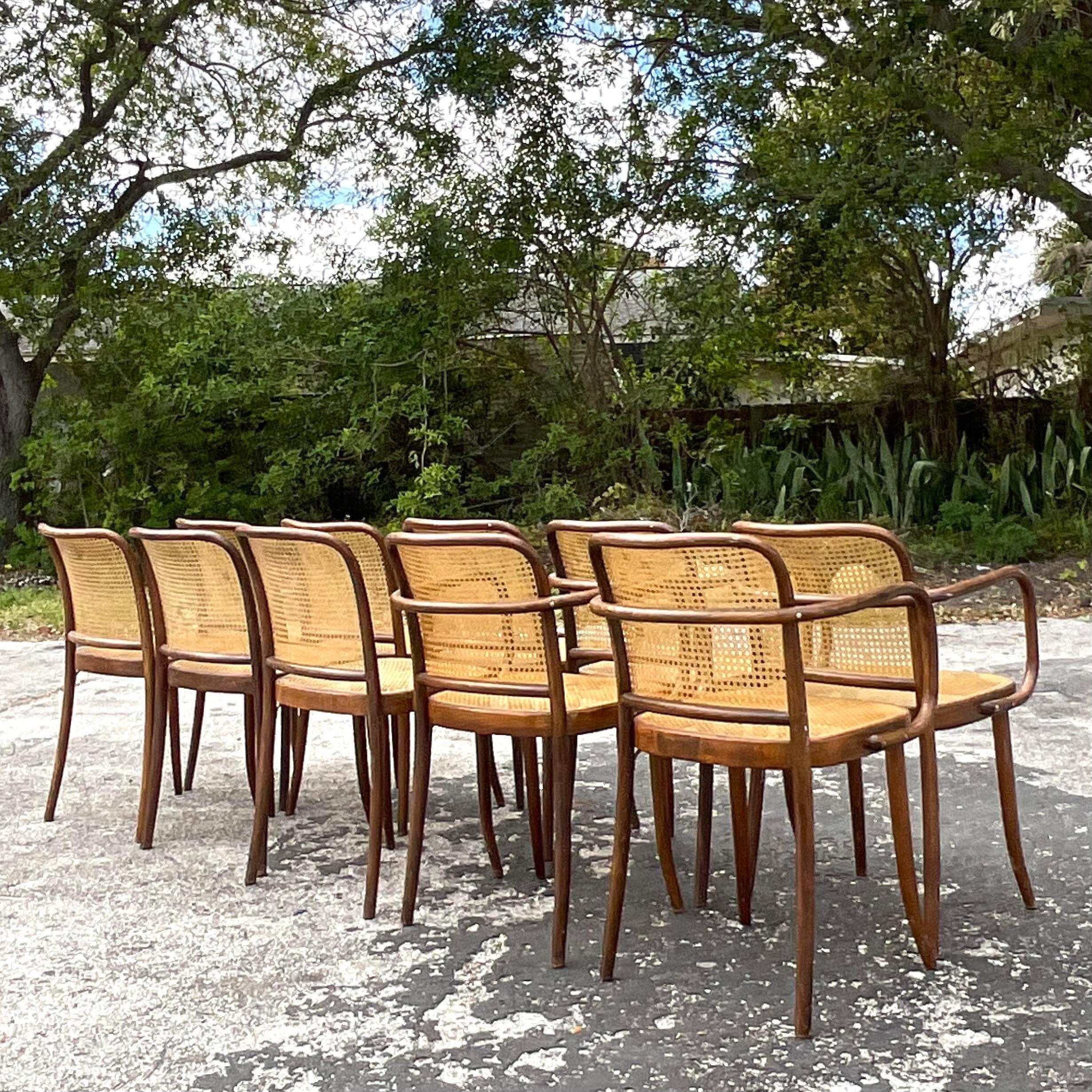 Mid-20th Century Vintage Boho Josef Hoffmann for Stendig Cane Dining Chairs - Set of 10