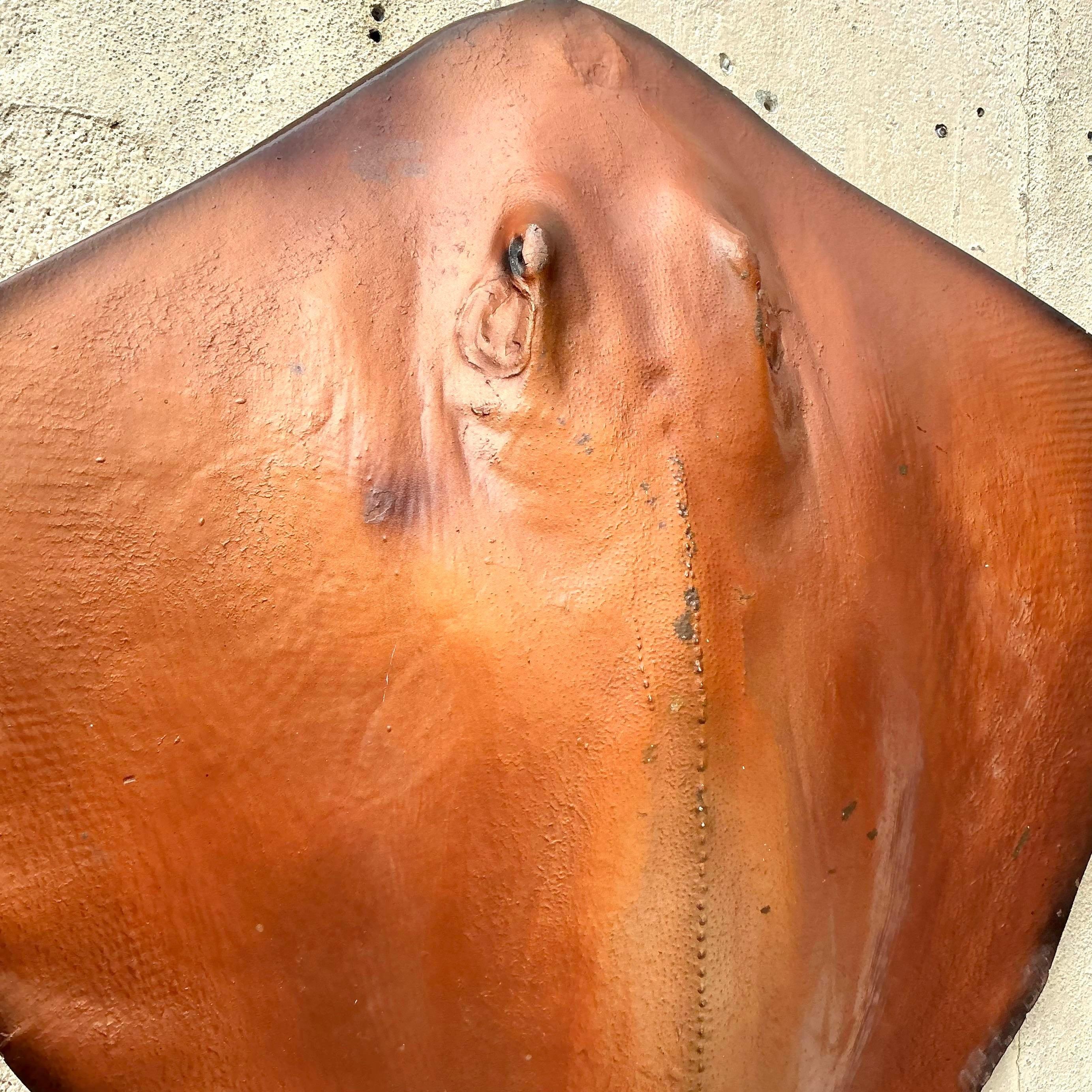 Causa sensación con esta Mantarraya Vintage Boho de Fibra de Vidrio a Tamaño Natural. Su diseño realista y su aire boho lo convierten en un impresionante tema de conversación, perfecto para añadir un toque de inspiración oceánica a tu decoración