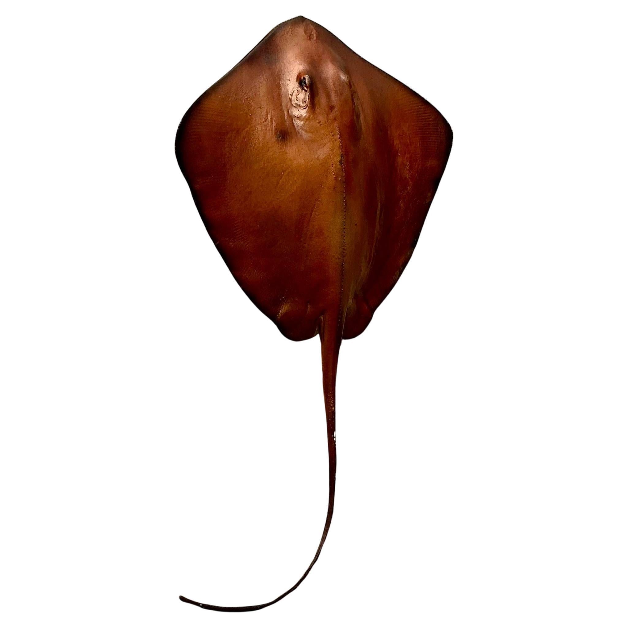 Mantarraya Vintage Boho de Fibra de Vidrio a Tamaño Natural