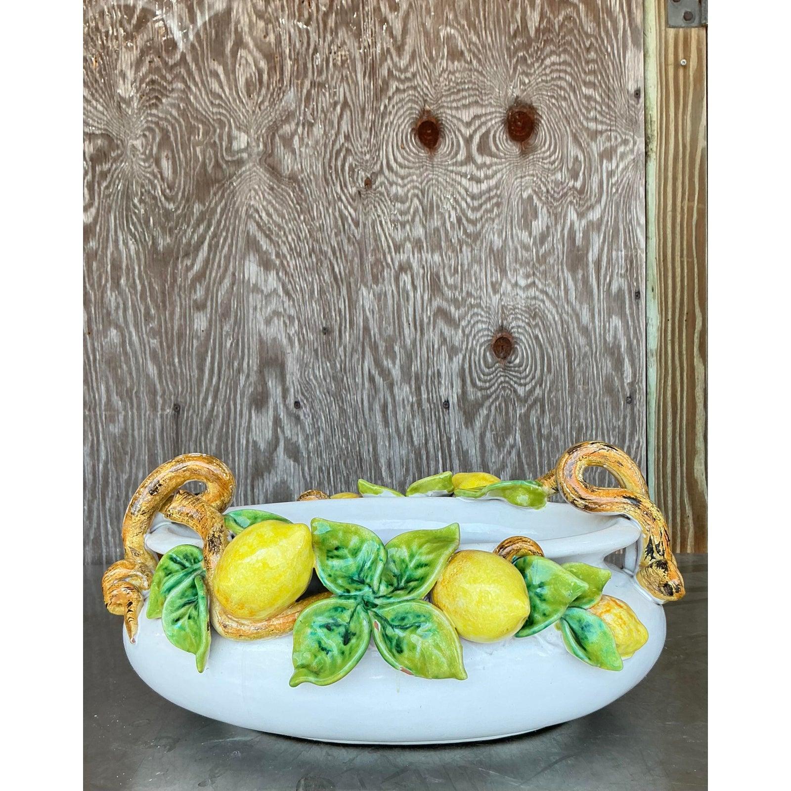 Bring a burst of Mediterranean charm to your home with this Vintage Boho Majolica Lemon Centerpiece Bowl, a stunning example of artisanal craftsmanship. Handcrafted in the timeless majolica tradition, this ceramic bowl features a glossy white glaze