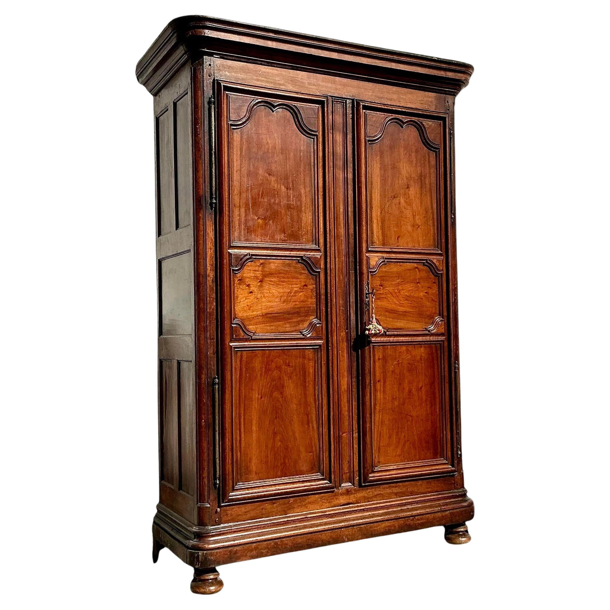 Vintage Boho Monumental 19th Century French Armoire