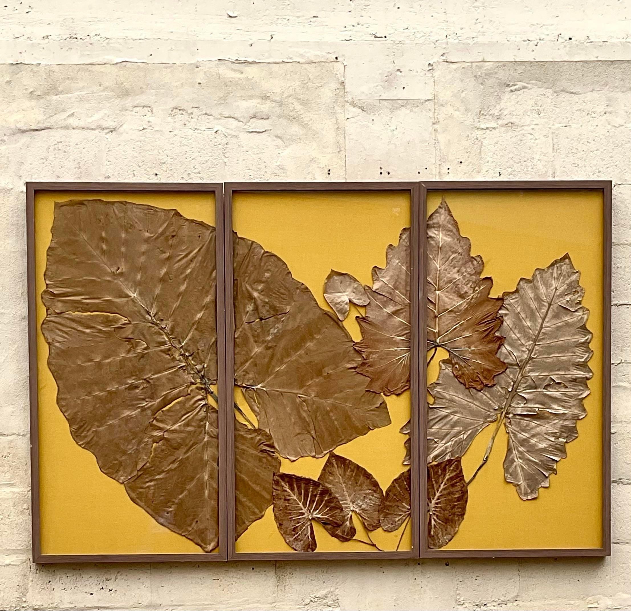 Bringen Sie einen Hauch von natürlicher Kunstfertigkeit in Ihren Raum mit dem Vintage Boho Monumental Dried Leaf Triptych. Dieses Stück im amerikanischen Stil zeigt drei atemberaubende Paneele mit sorgfältig erhaltenen Blättern, die den Charme der