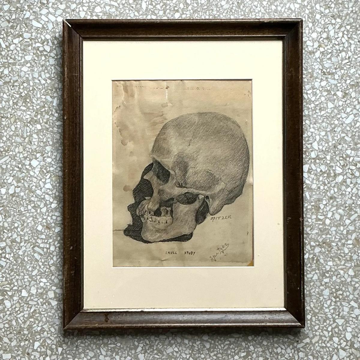 Vintage Boho Original Pencil Sketch of Skull For Sale 3