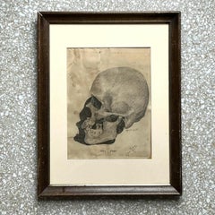 Vintage Boho Original Pencil Sketch of Skull