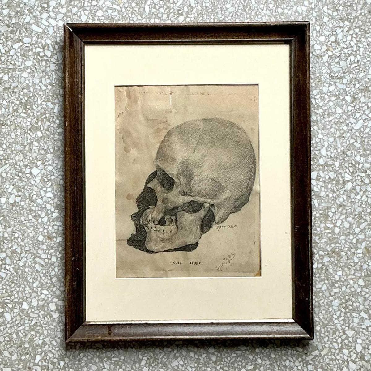 American Vintage Boho Original Pencil Sketch of Skull For Sale
