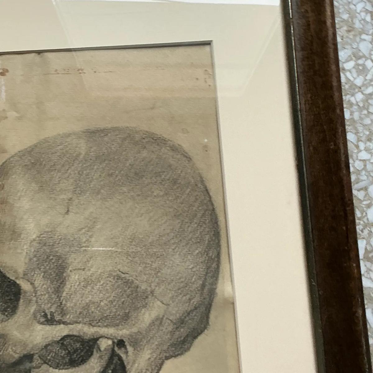 Mid-20th Century Vintage Boho Original Pencil Sketch of Skull For Sale
