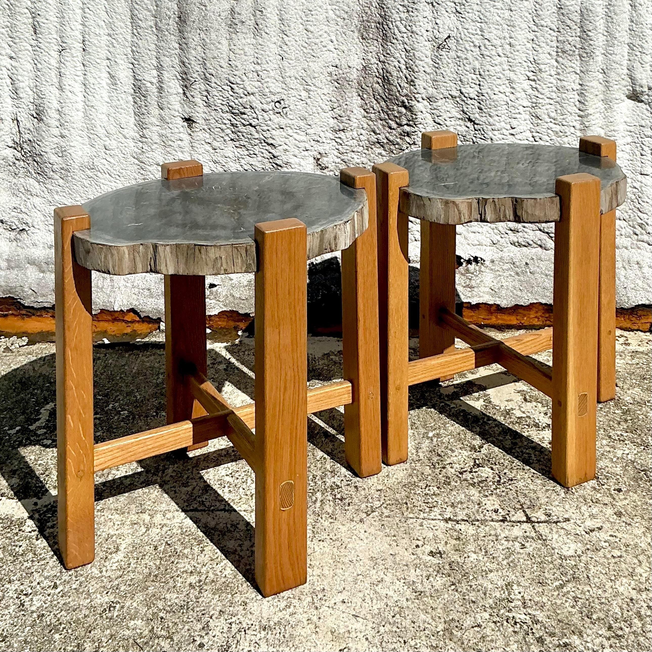 Américain Paire de tables d'appoint en bois pétrifié de style boho en vente