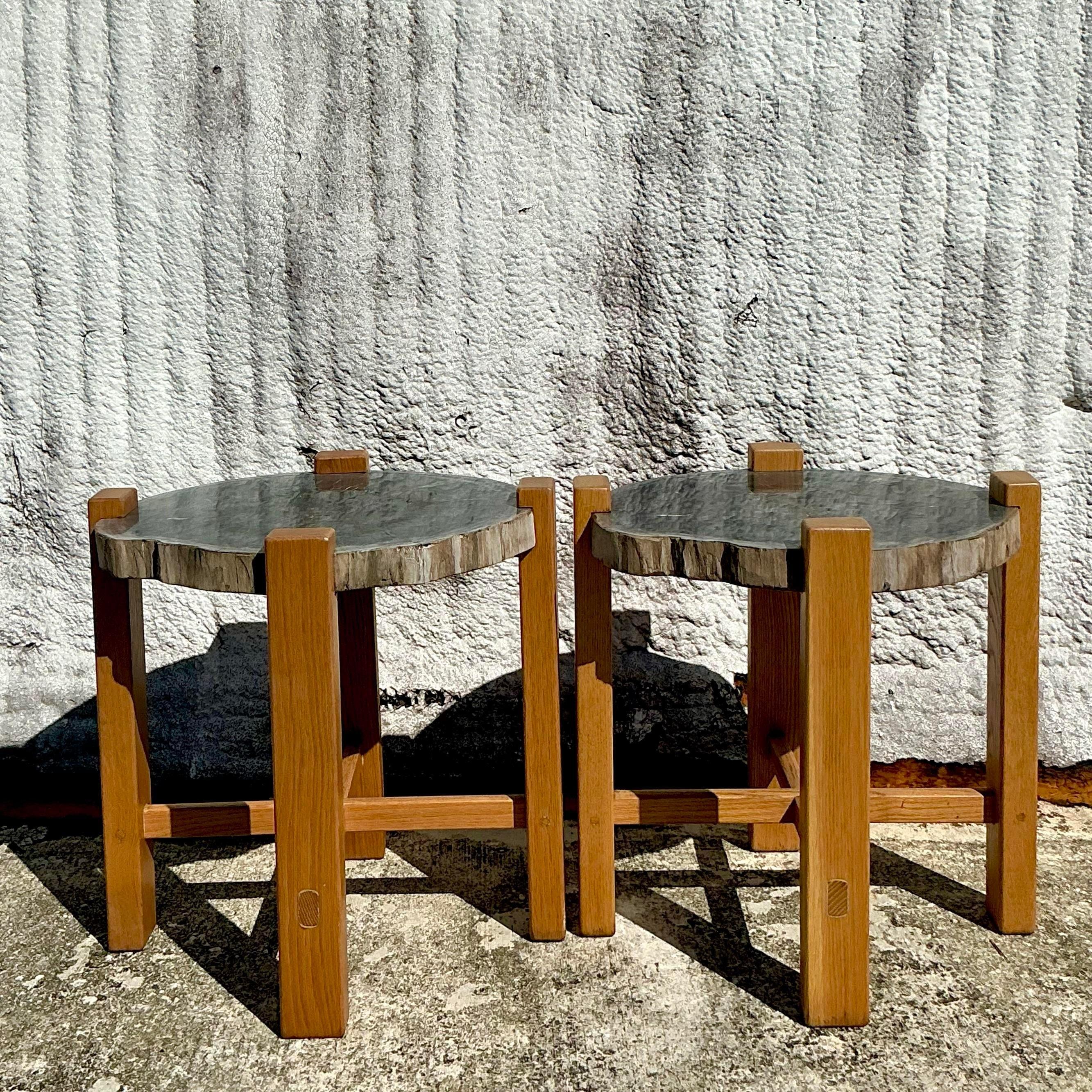 Paire de tables d'appoint en bois pétrifié de style boho en vente 1