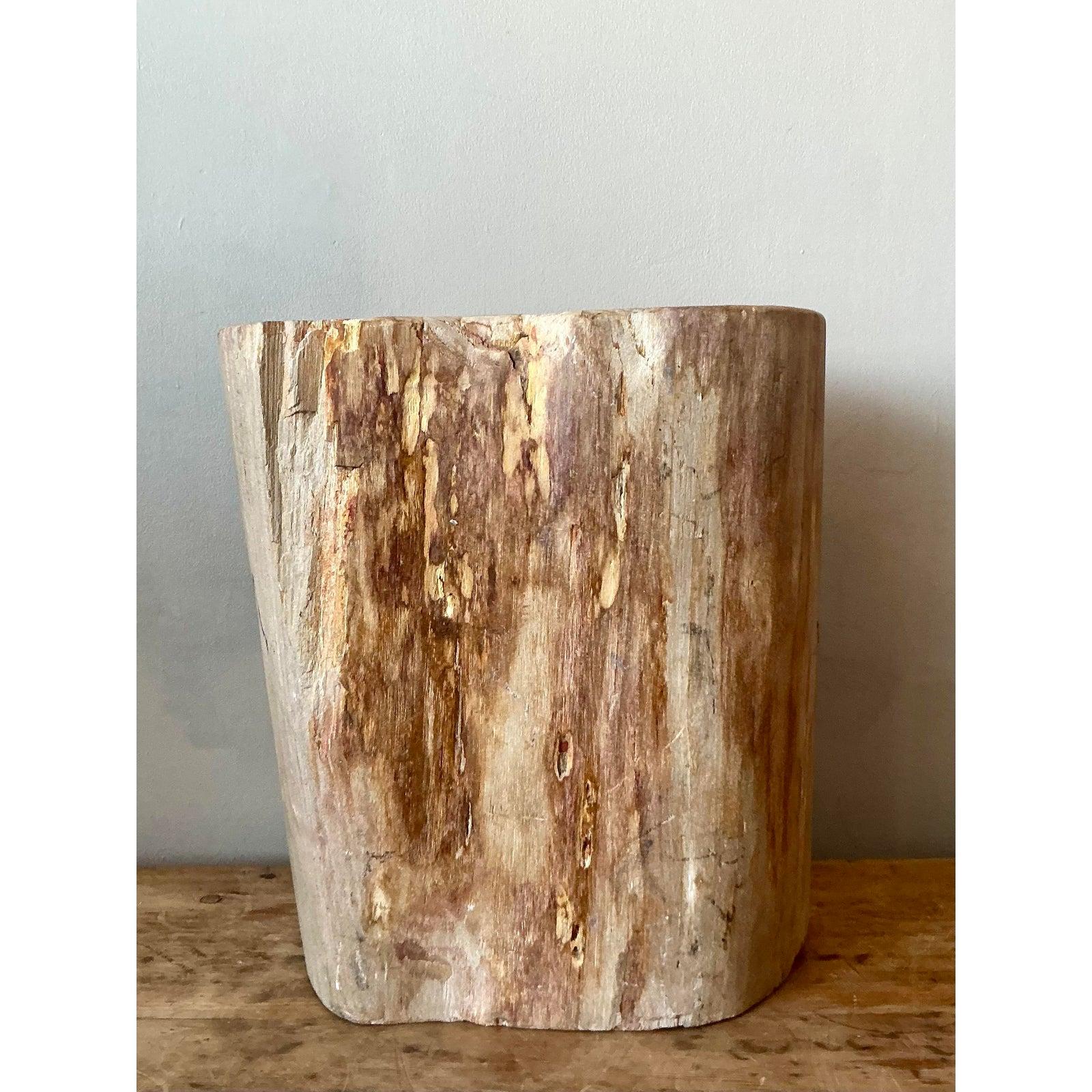 Discover a truly unique piece with this vintage petrified wood stool, a stunning example of nature's artistry transformed into functional decor. Each facet of this stool tells a story, showcasing the millions of years of geological transformation
