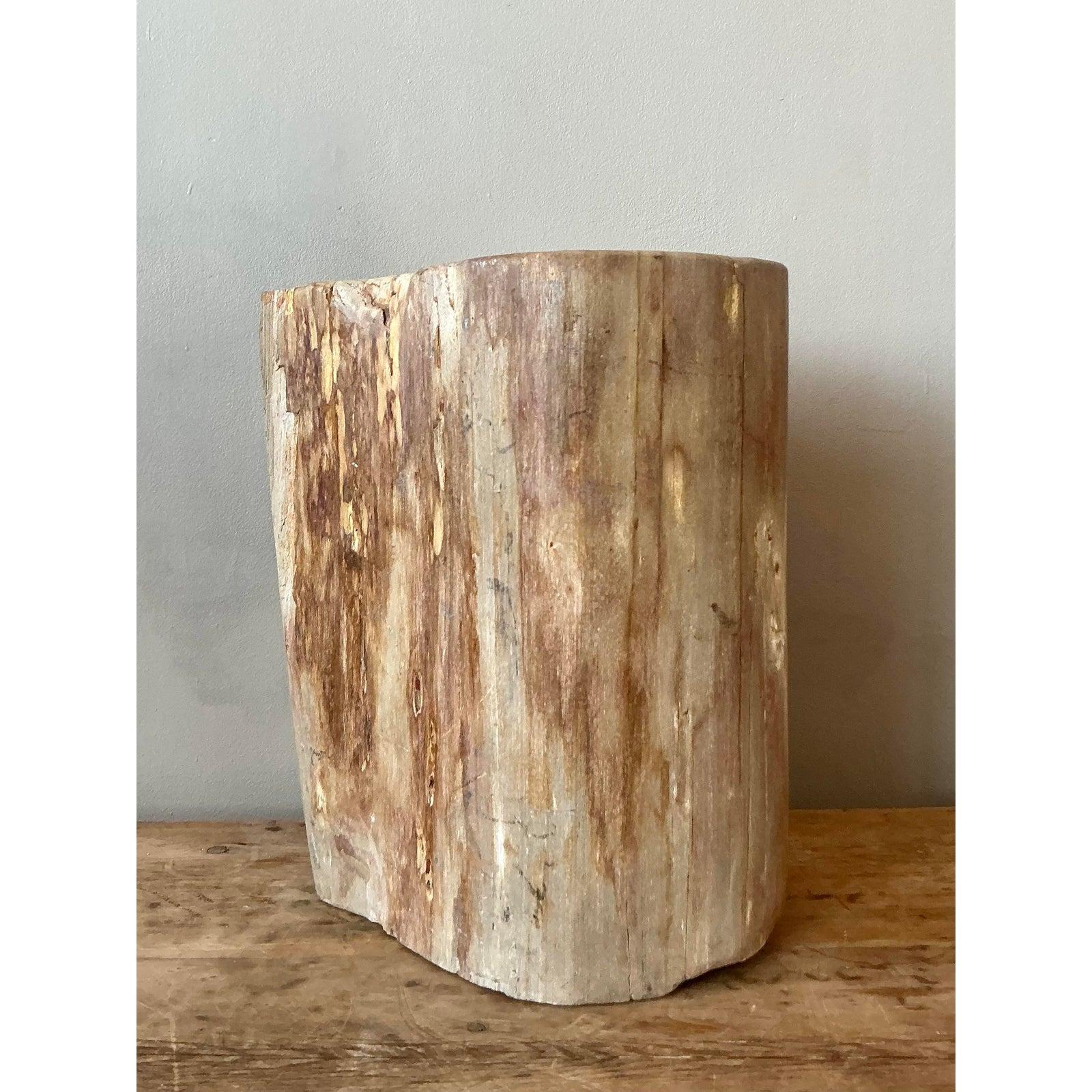 Rustic Vintage Boho Petrified Wood Stool For Sale