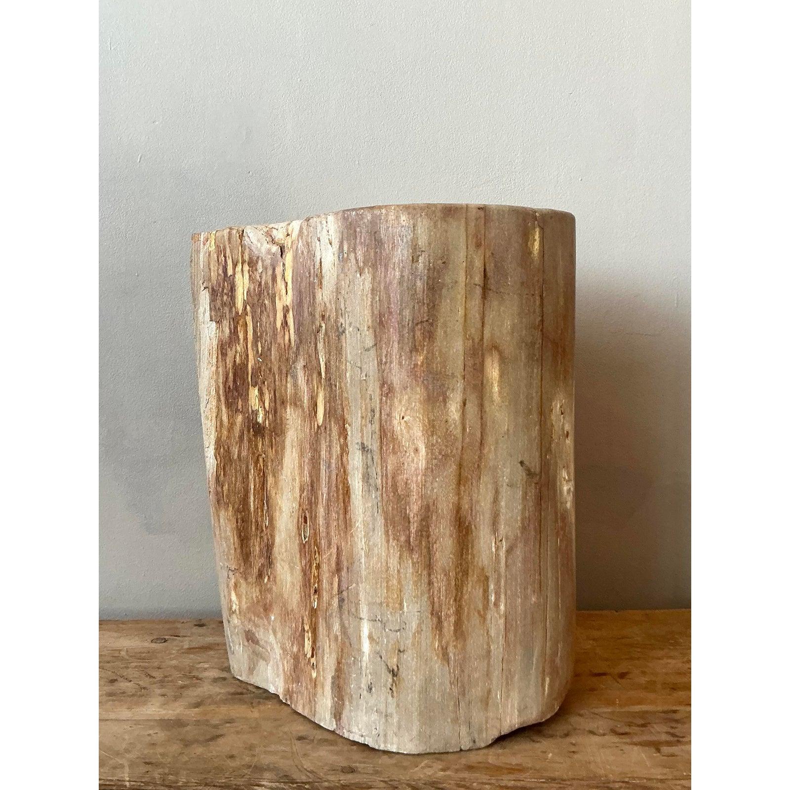 American Vintage Boho Petrified Wood Stool For Sale