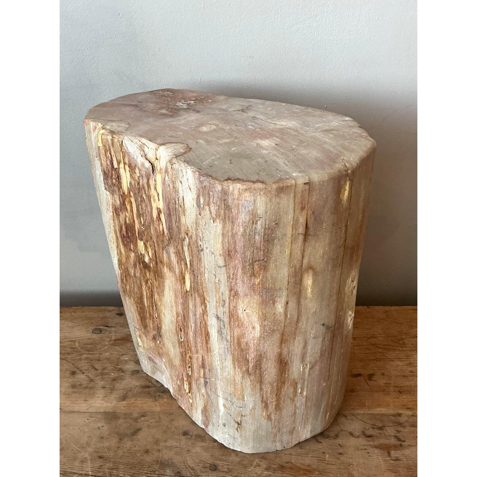 20th Century Vintage Boho Petrified Wood Stool For Sale