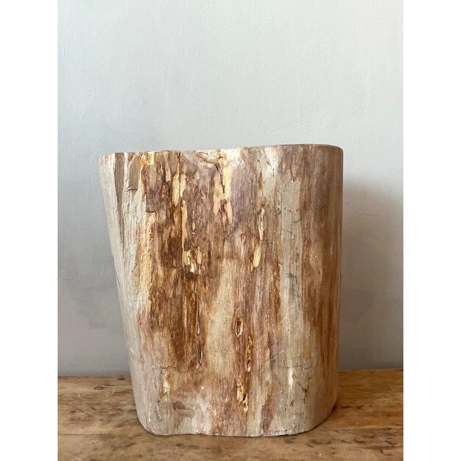 Vintage Boho Petrified Wood Stool For Sale 1