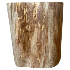 Vintage Boho Petrified Wood Stool