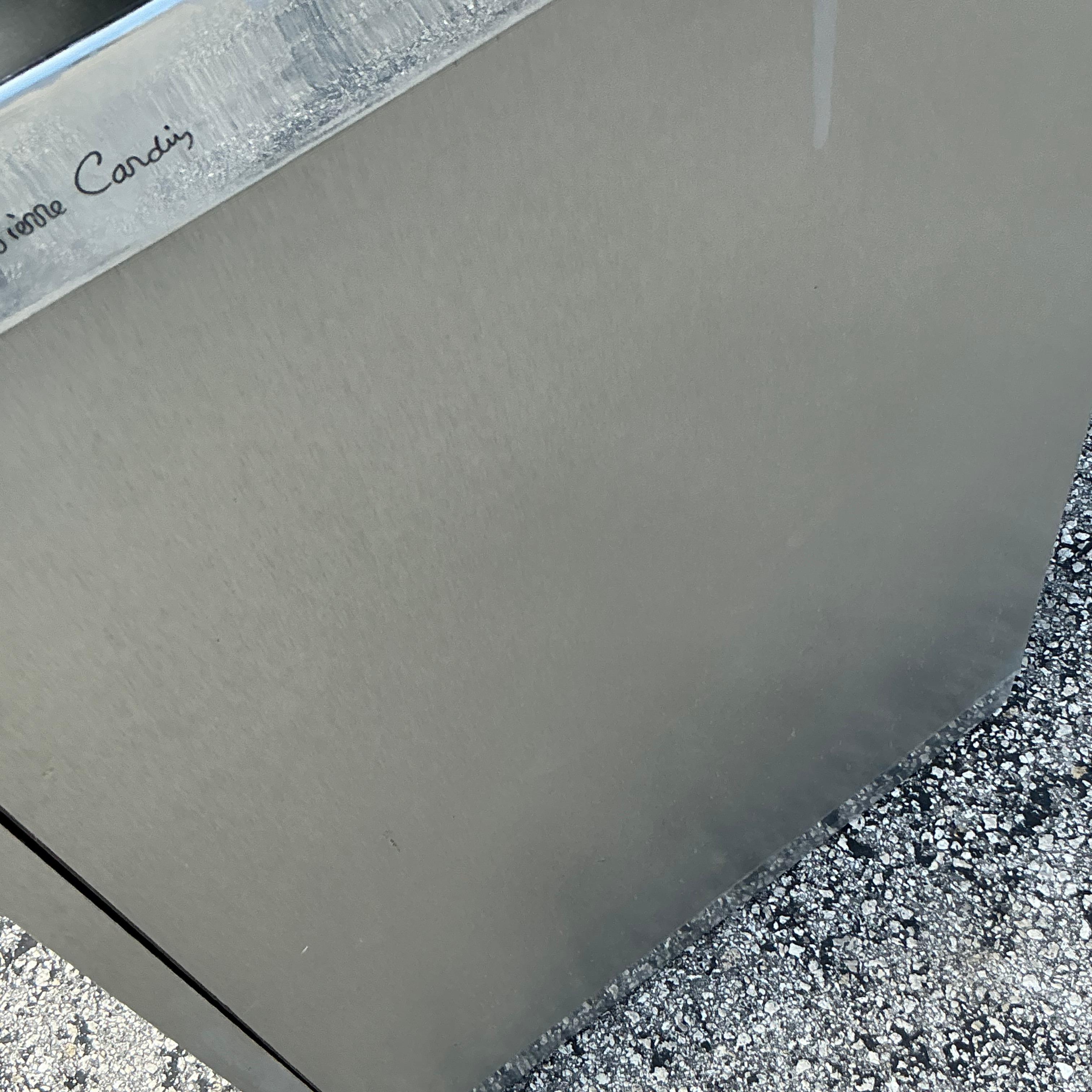 This vintage Boho credenza by Pierre Cardin, crafted in brushed stainless steel, exudes modern elegance with a touch of retro flair. Its sleek lines and refined finish make it a stunning statement piece, seamlessly blending Bohemian style with