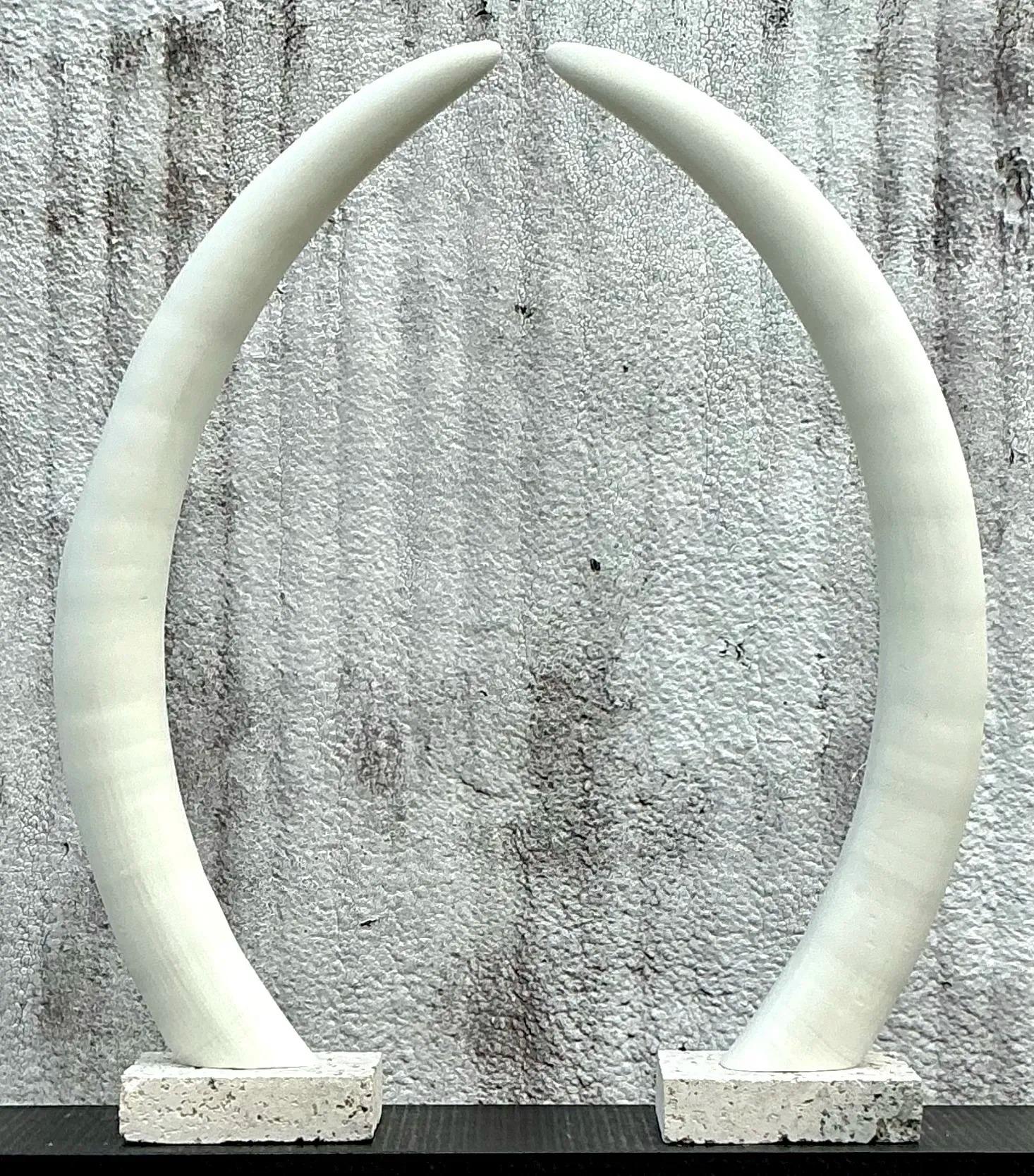 Aggiungi un tocco esotico al tuo spazio con questa sorprendente coppia di zanne di elefante in gesso vintage, ciascuna montata su uno zoccolo in pietra coquina. Le curve eleganti e gli intricati dettagli delle zanne evocano un senso di grandezza,