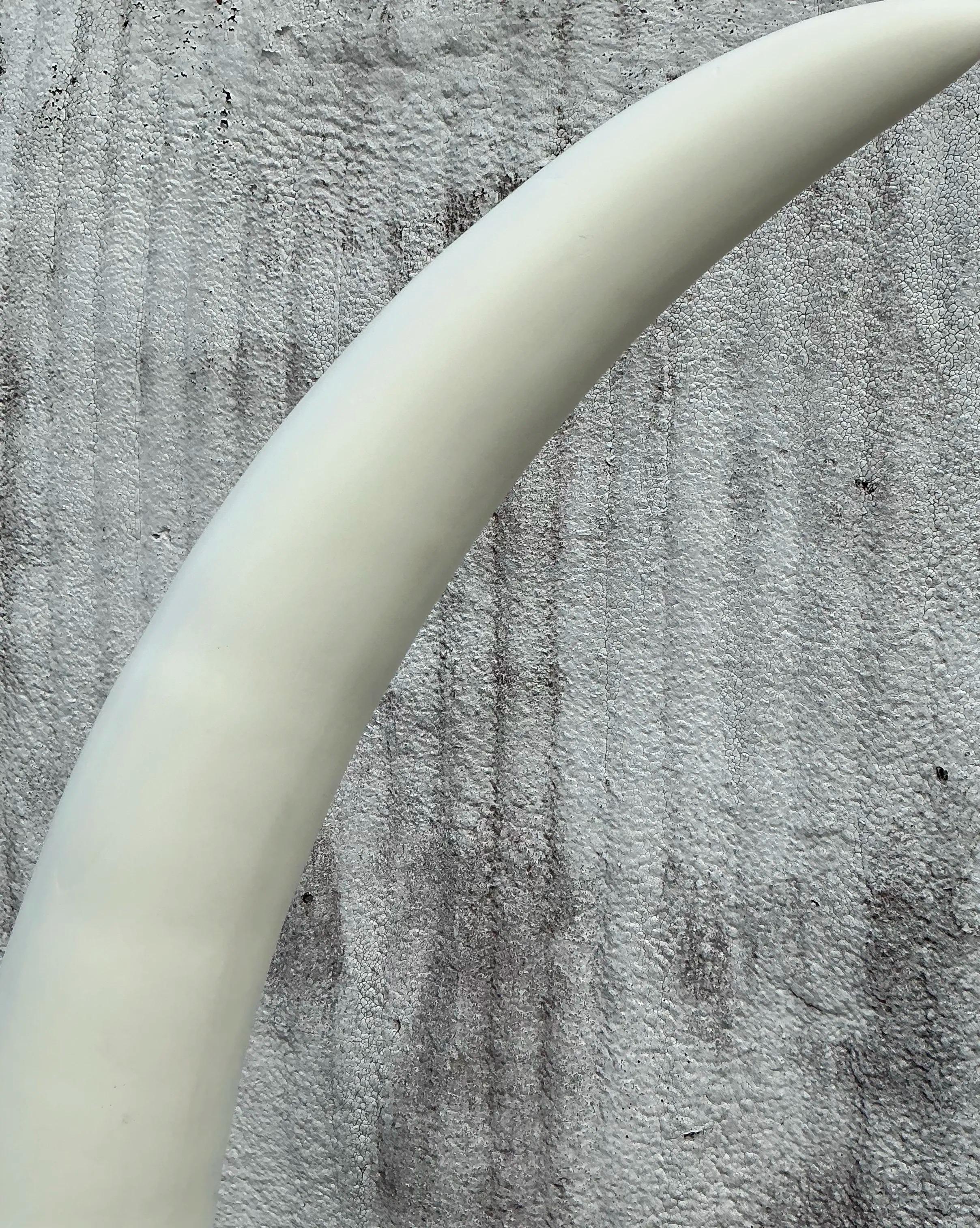 XX secolo Zanne di elefante in gesso bohémien su plinto di coquina - una coppia in vendita