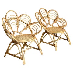 Rattan Chairs
