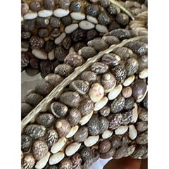 Vintage Boho Shell Encrusted Chandelier