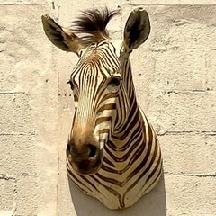 Vintage Boho Shoulder Wall Mount Zebra