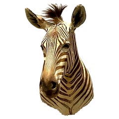 Boho-Schulter-Wandhalterung aus Zebra