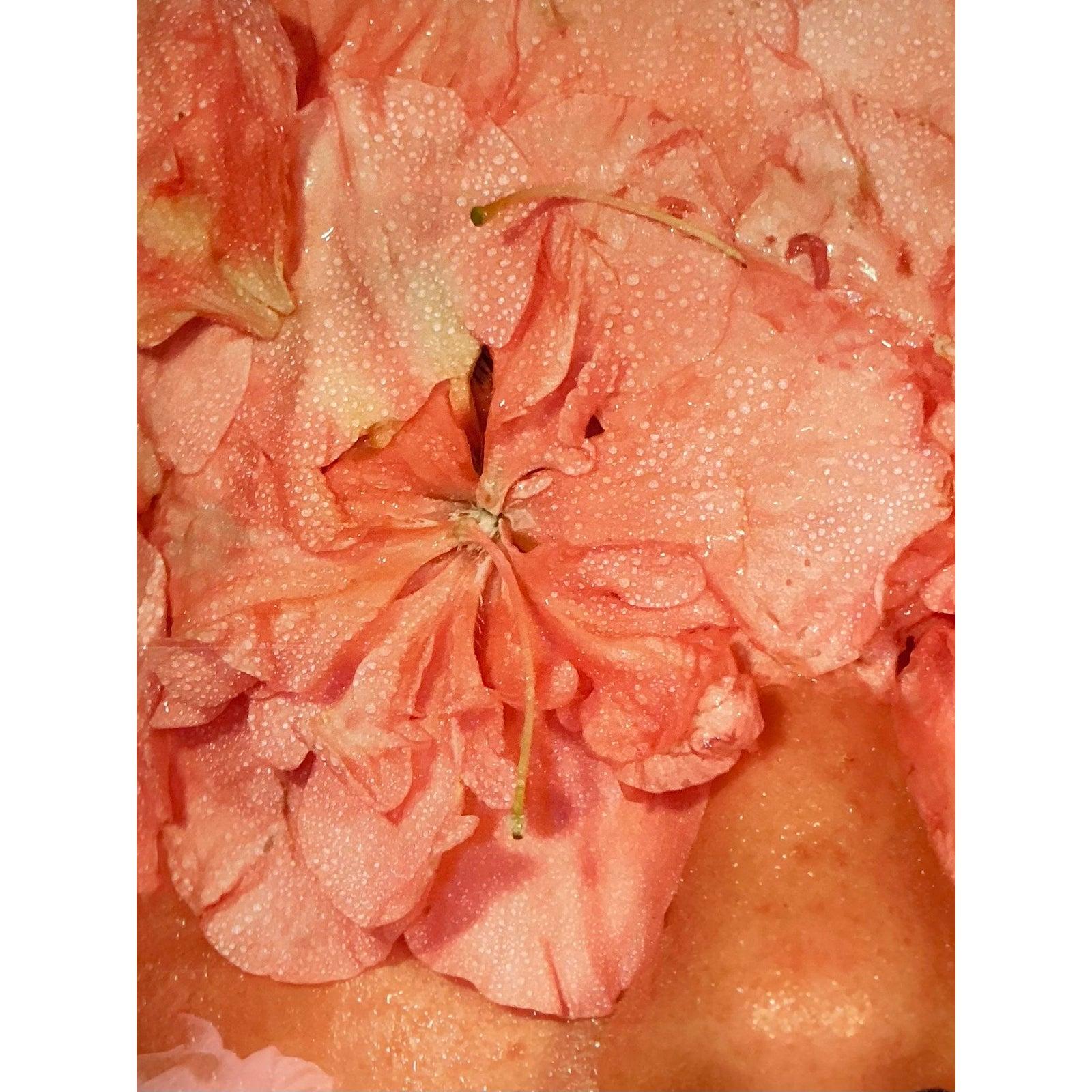 Vintage Boho signiert Ap Foto der Blume Gesicht auf Rag Bright Papier im Zustand „Gut“ im Angebot in West Palm Beach, FL