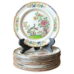 Antique Boho Spode “Peacock” Dinner Plates - Set of 10
