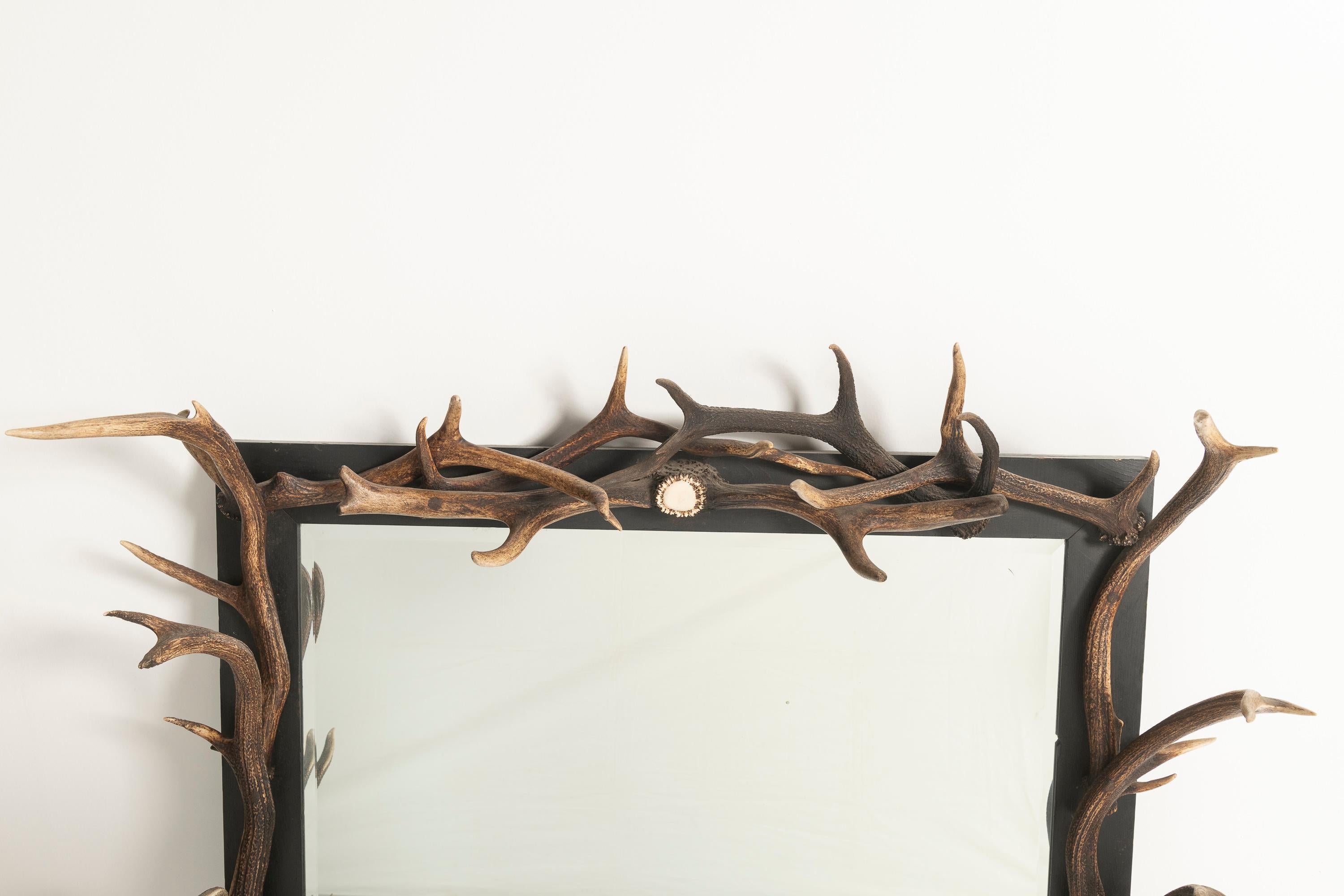 Vintage-Knochen, Geweih, Holz, Horn Spiegel, 1970er Jahre (Moderne der Mitte des Jahrhunderts) im Angebot