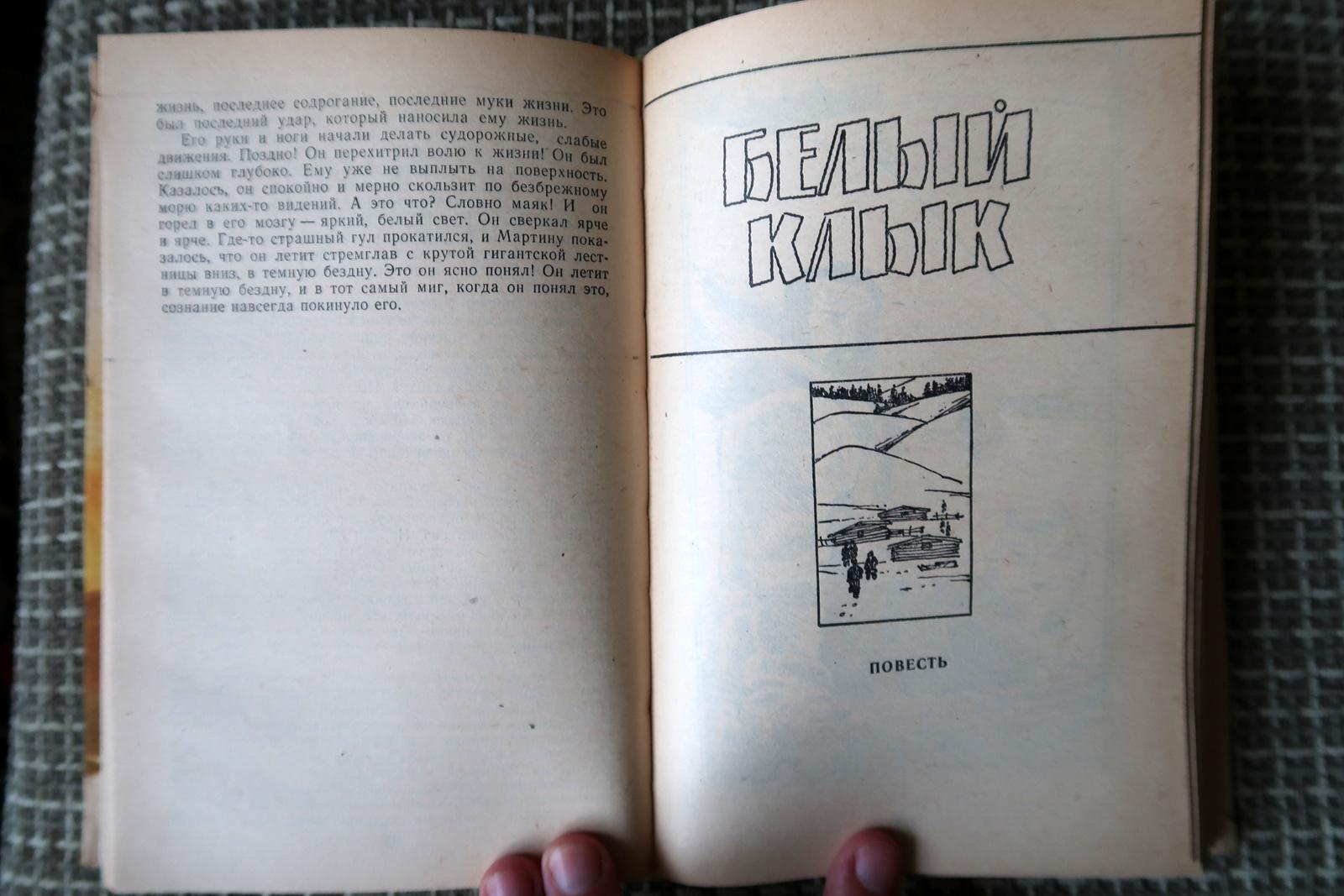 Vintage-Bücher von Jack London – Martin Eden und Weißer Fang, 1J169 im Angebot 1