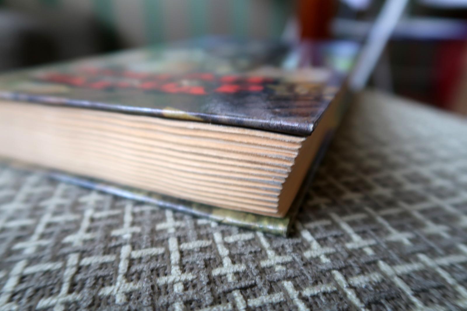 Livre vintage : Conan the Barbarian de Robert E. Howard (1993), 1J196 en vente 7