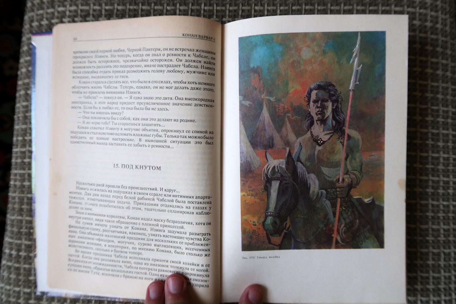 Livre vintage : Conan the Barbarian de Robert E. Howard (1993), 1J196 en vente 1