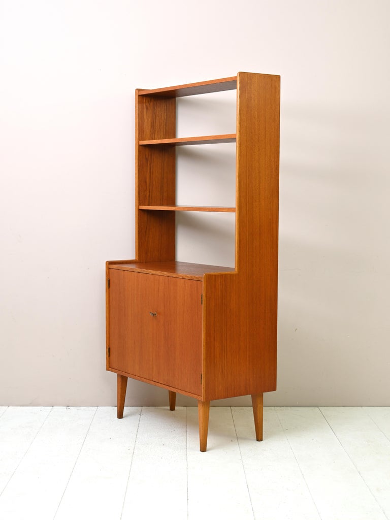 Vintage Bookcase with Hinged Doors For Sale at 1stDibs