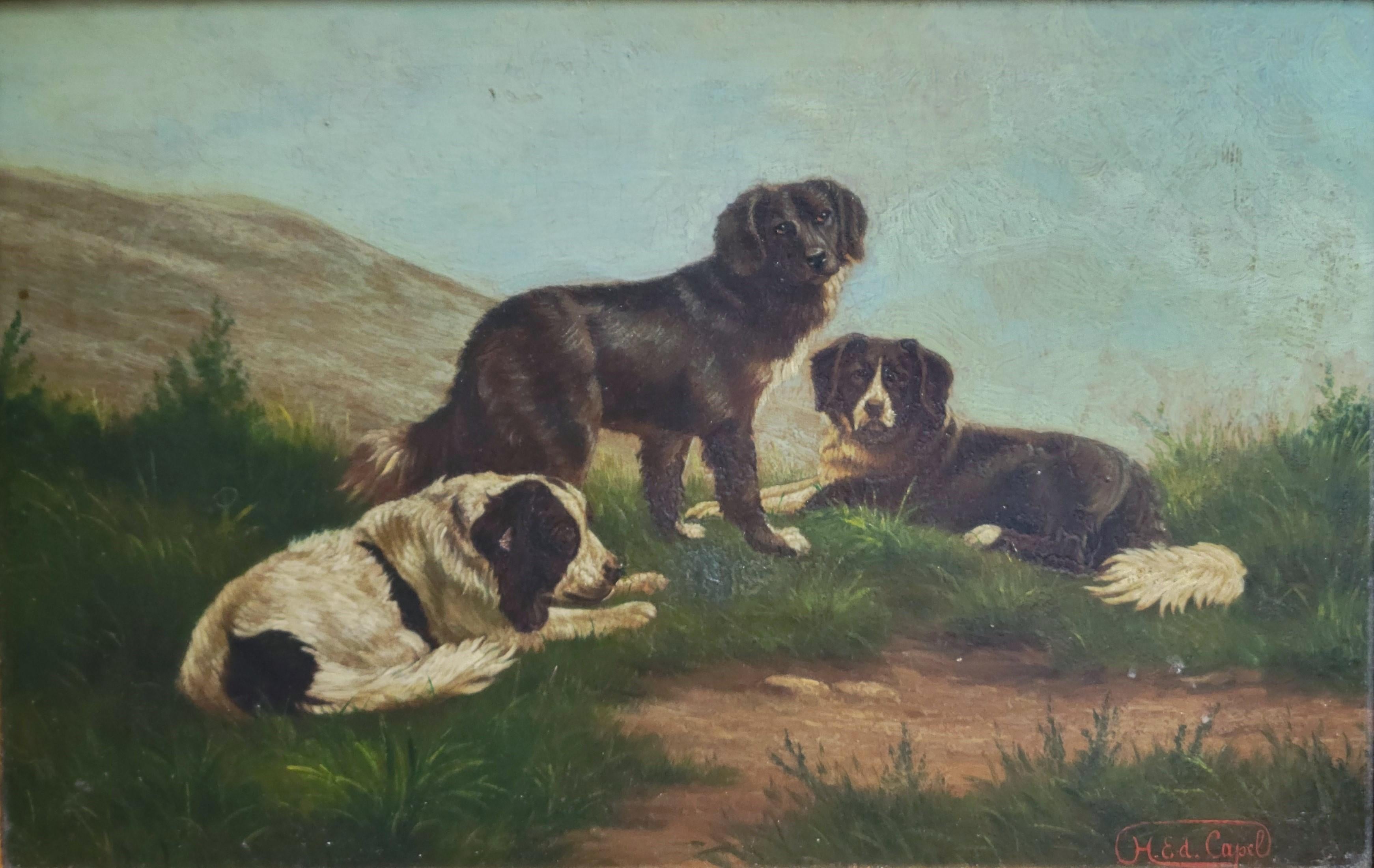 An absolutely beautiful vintage oil painting on mahogany panel of three black and white dogs, perhaps Border Collies. The painting is skillfully painted and signed by H. Ed. Capel. The French inscription on the back indicates that the painting was a