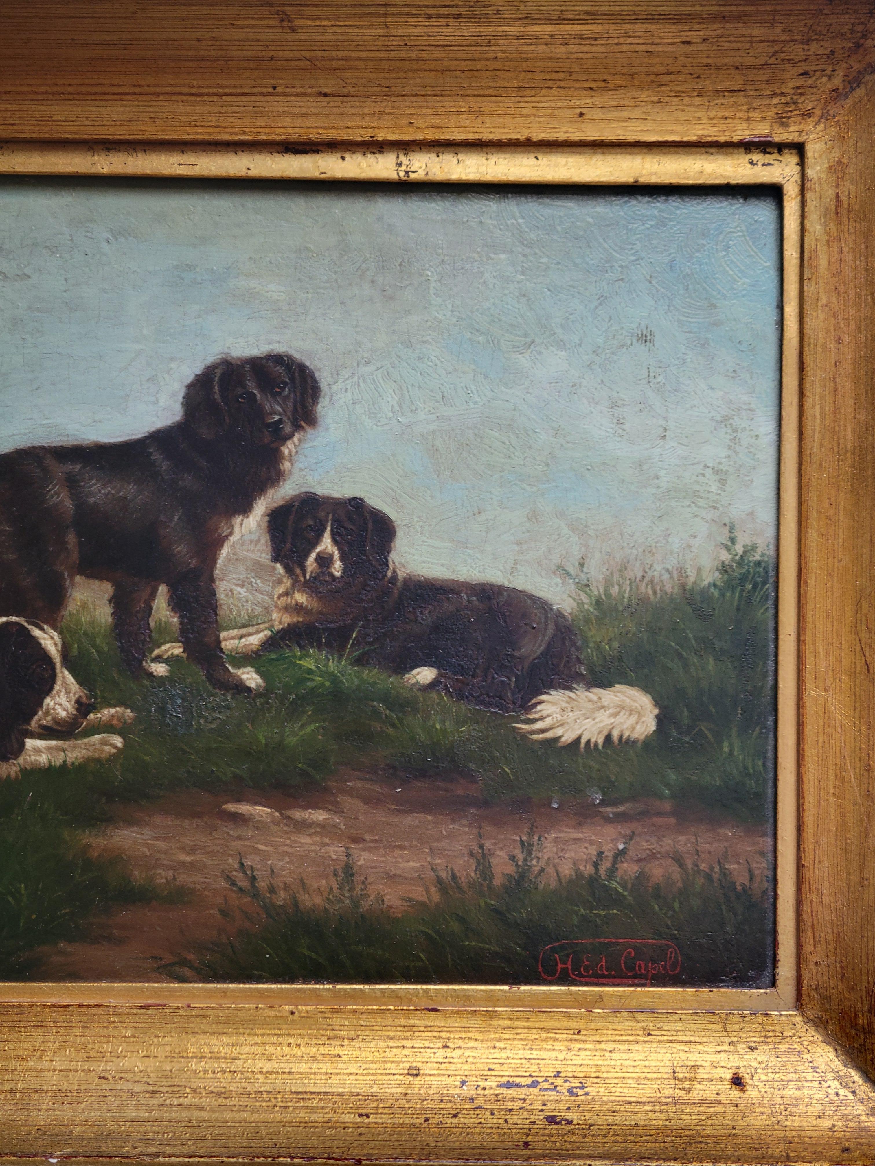 Belgian Vintage Border Collie Dog, oil painting on mahogany board, signed H. Ed. Capel For Sale