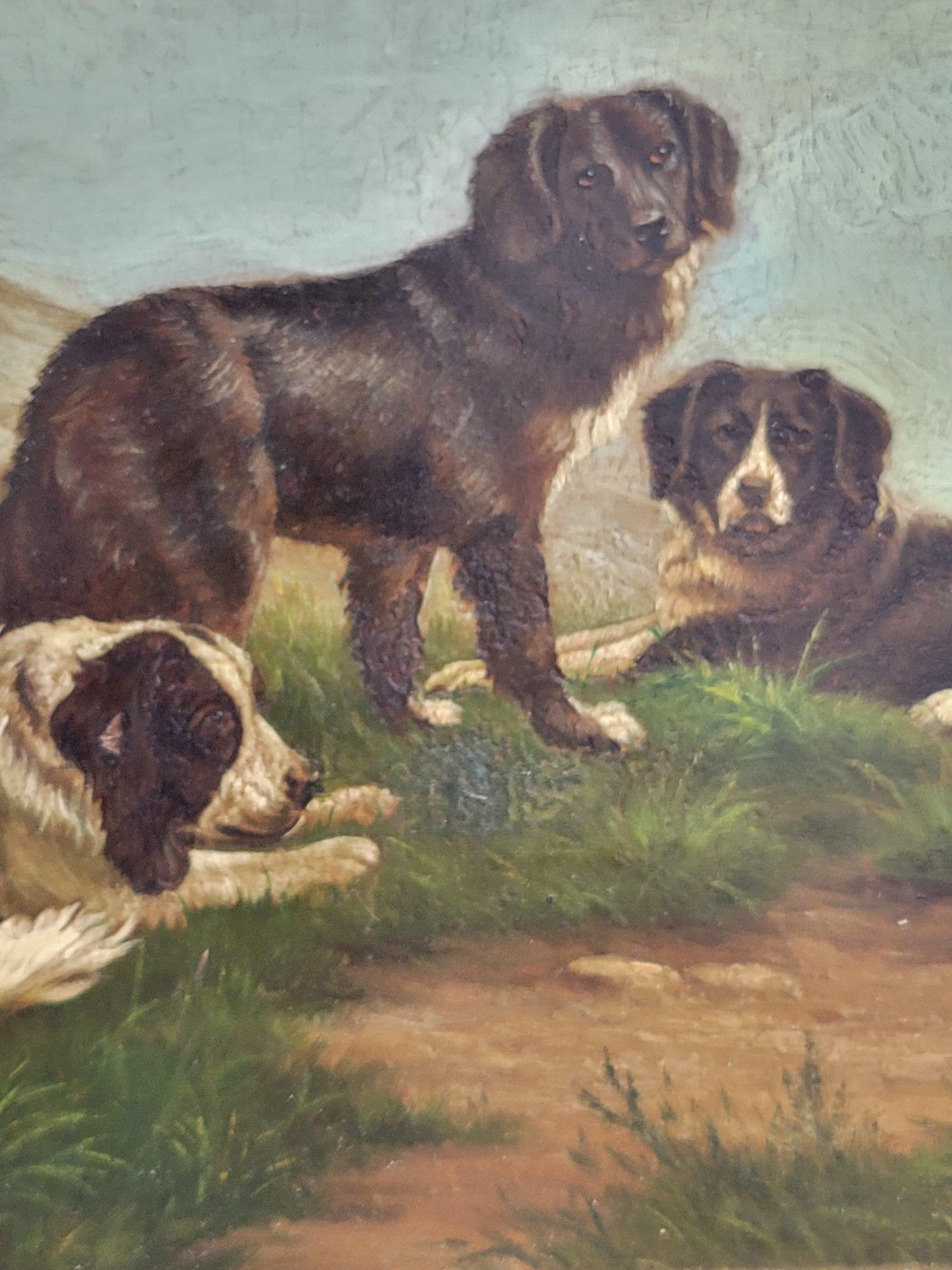 Vintage Border Collie Dog, Ölgemälde auf Mahagoni-Karton, signiert H. Ed. Kapelle im Zustand „Gut“ im Angebot in Centennial, CO