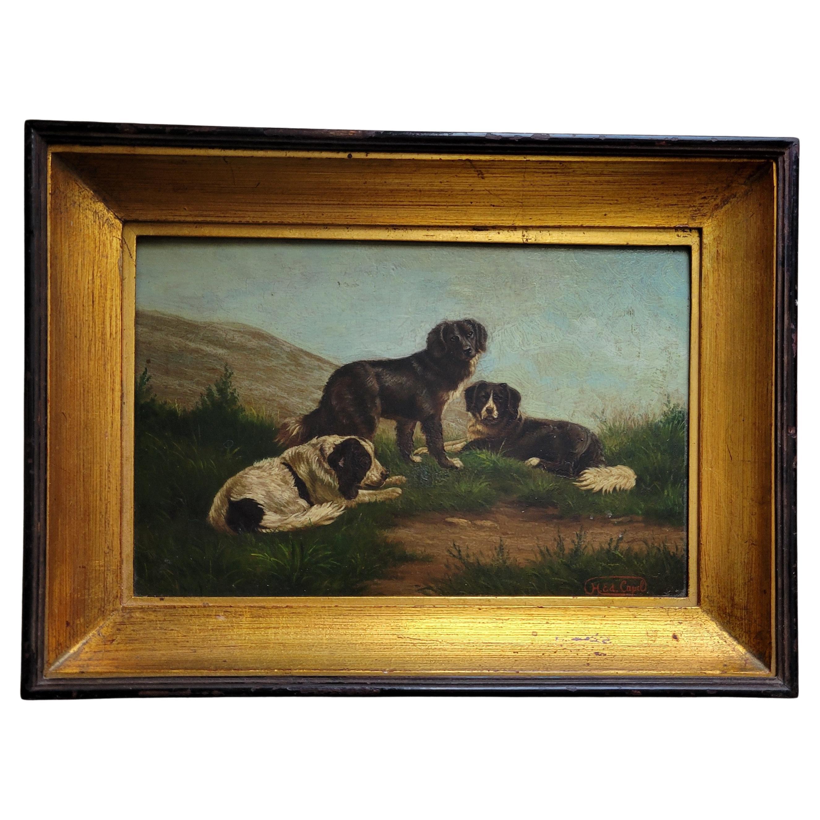 Vintage Border Collie Dog, oil painting on mahogany board, signed H. Ed. Capel
