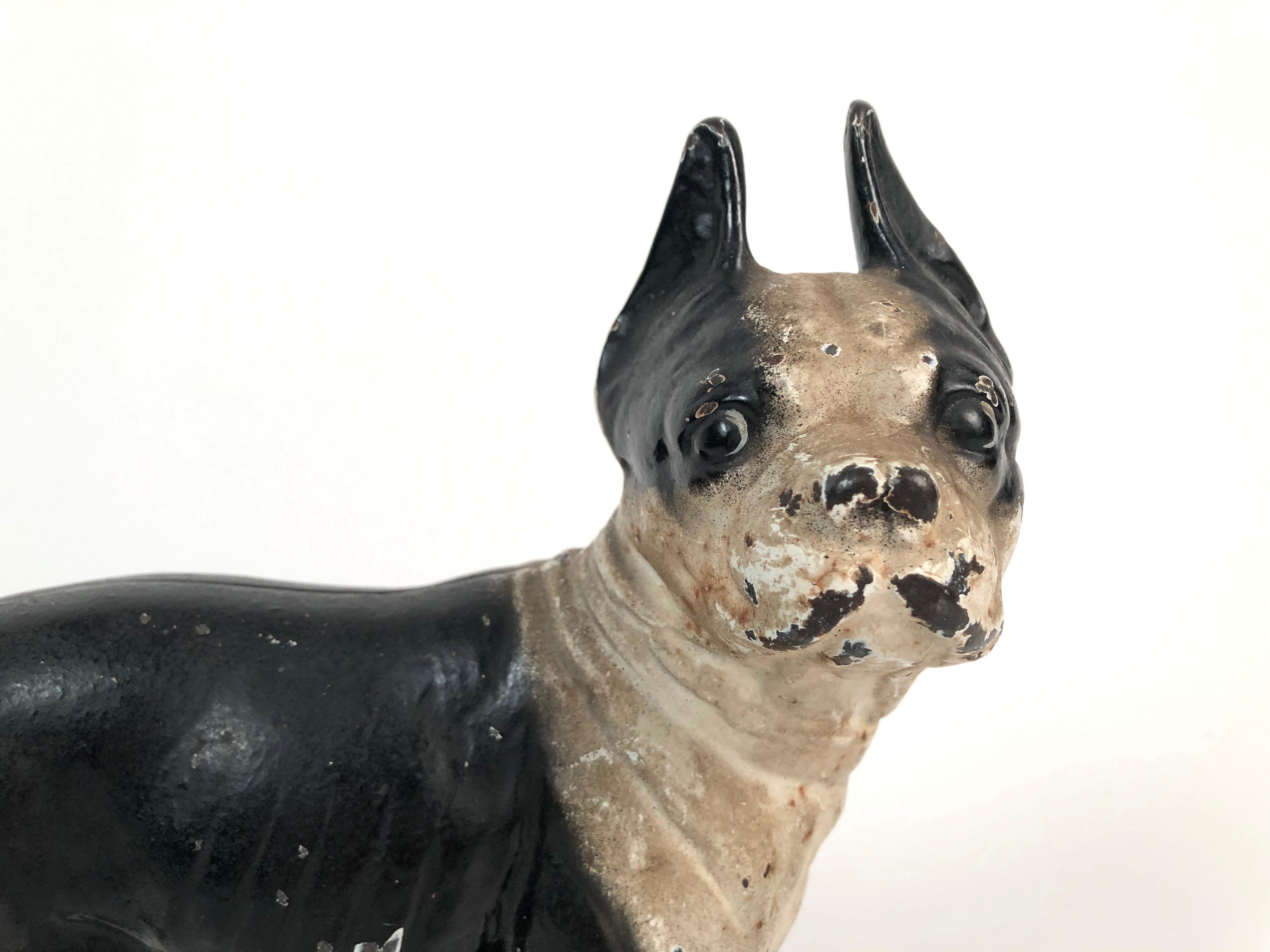 A vintage cast iron Boston Terrier door stop, retaining its original black and white painted surface, probably made by Hubley, Connecticut, circa 1920s. With an alert stance, its head turned to the side, and wide open eyes and ears perked up, this