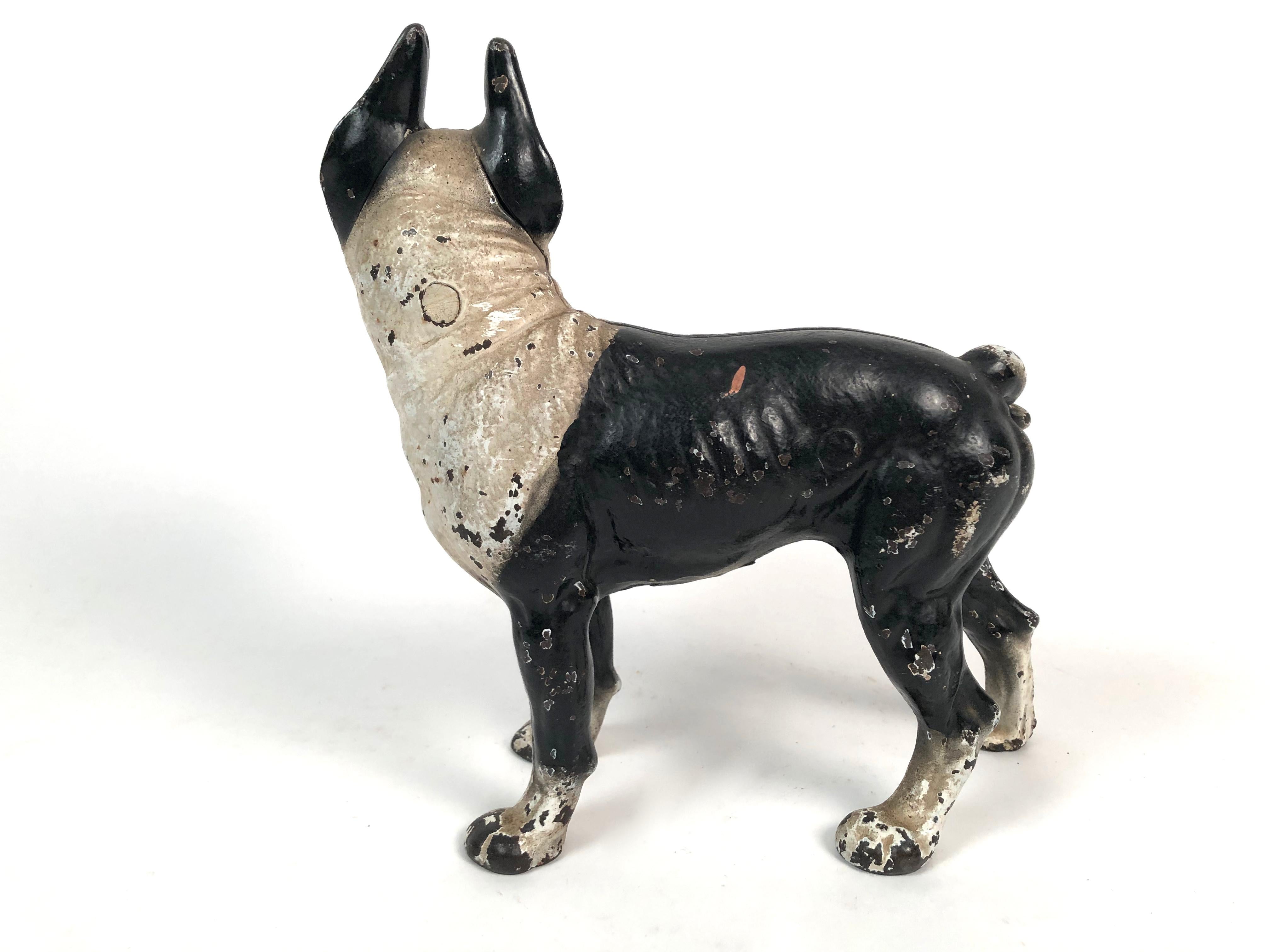Early 20th Century Vintage Boston Terrier Cast Iron Door Stop with Original Painted Surface