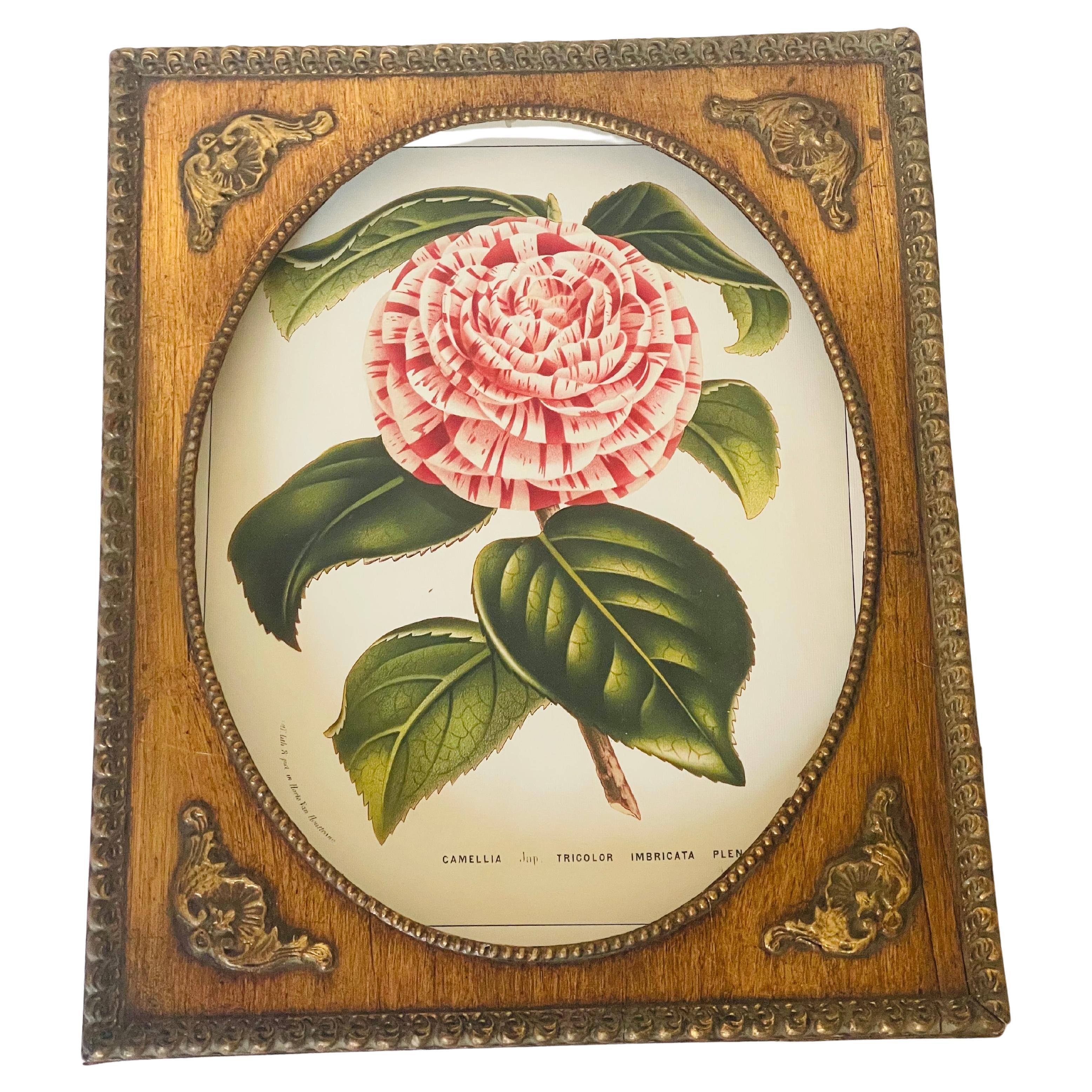 Vintage Botanische Chromolithographie in Gold Antike Oval Frame im Angebot