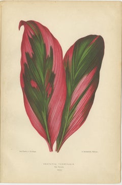 Eleganza botanica vintage: Un trittico di studi sul fogliame colorato del XIX secolo