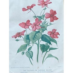 Vintage Botanical Floral Prints in Gilt Frames - Set of 3