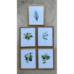 Vintage Botanical Floral Prints in Wood Frames - Set of 5